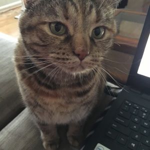 Meet your Posher, Sharon